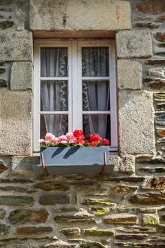 Flower pot placed at the window of old house Stock Photos