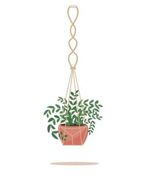 Flower in a pot pots macrame, modern Scandinavian style. Hanging plant, interior Stock Illustration