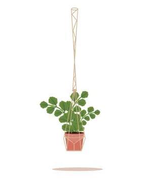 Flower in a pot pots macrame, modern Scandinavian style. Hanging plant, interior Stock Illustration