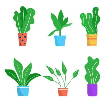Flower pot set, vector illustration. Green garden plant in flowerpot, floral Stock-Illustration