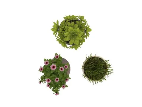 Flower in a pot set view from above path selection Stock Photos