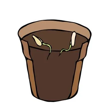 Flower Pot with Soil. Two Seed, Sprouts and Roots. Flowerpot for Sprouting Pl Stock Illustration
