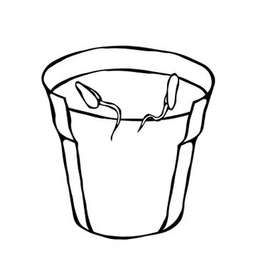 Flower Pot with Soil. Two Seed, Sprouts and Roots. Flowerpot for Sprouting Pl Stock Illustration