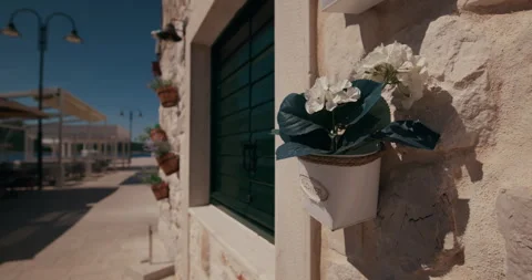 Flower Pot on Stone Wall by Waterfront Video stock 336932735