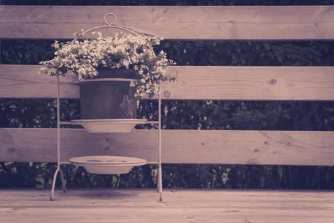Flower pot on a terrasee Foto stock