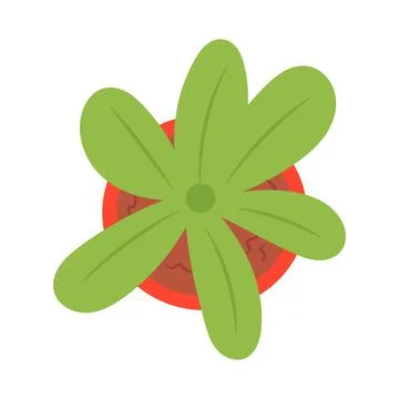 Flower pot top view icon isolated on white background vector illustration. Gr Stock Illustration