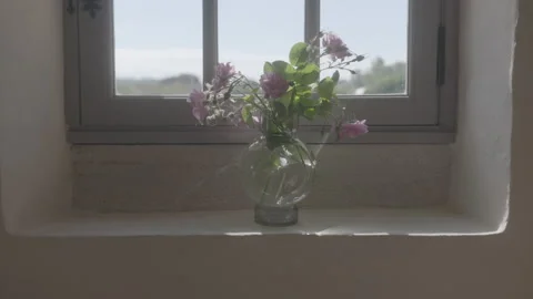 Flower Pot By The Window 2 - No LUT Version Stock Footage 222050592