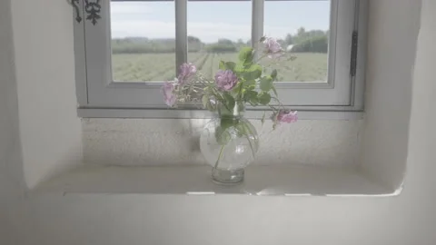 Flower Pot By The Window 3 - No LUT Version Stock Footage 222050523