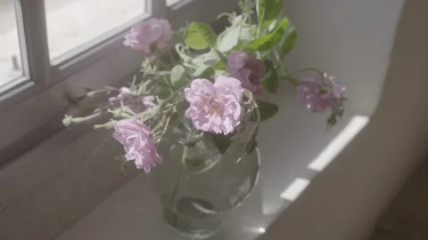 Flower Pot By The Window 4 - No LUT Version Stock Footage 222050529