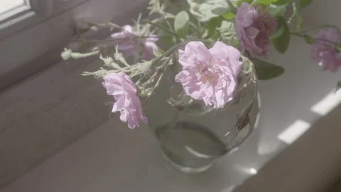 Flower Pot By The Window 6 - No LUT Version Stock Footage 222050691