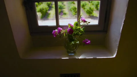 Flower Pot By The Window Stock Footage 222047400