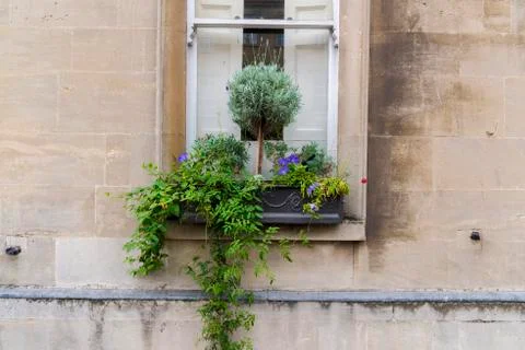 A flower pot on a window ledge of a ancient Roman building in Bath Stock Photos
