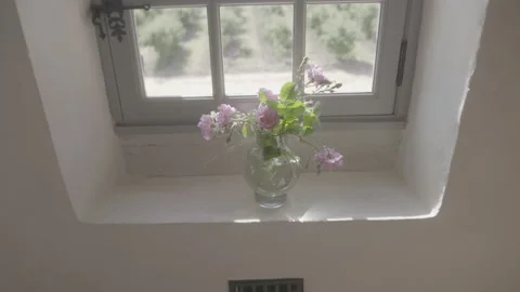 Flower Pot By The Window - No LUT Version Stock Footage 222050526