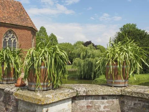 Flower pots on a brick wall in front of a historic building with gothic window Fotos de archivo