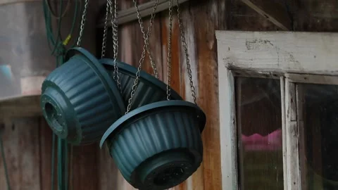 Flower pots Stock Footage 159652194