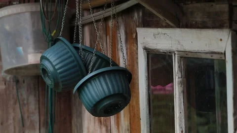 Flower pots Stock Footage 159652201