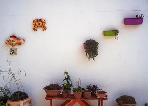 Flower pots hanging on a whitewashed wall Fotos de archivo
