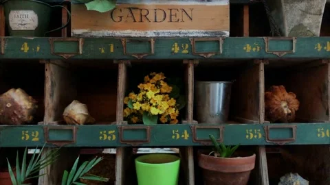 Flower pots organized in the boxes Video stock 141460687
