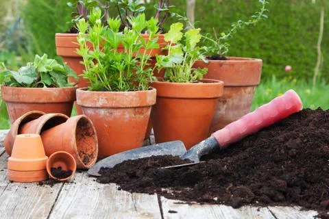 Flower pots Stock Photos