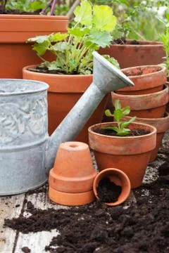 Flower pots Stock Photos