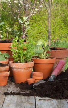 Flower pots Foto stock