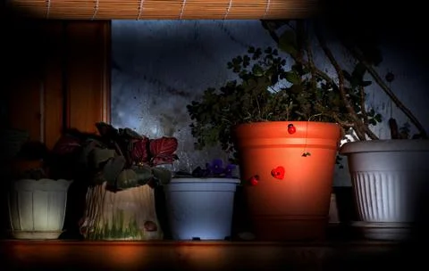 Flower pots Foto stock