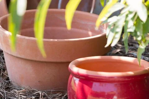 Flower pots 스톡 사진