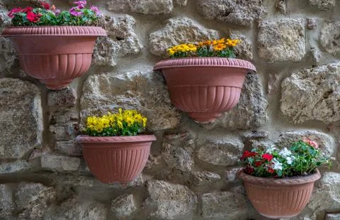 Flower pots Stock Photos
