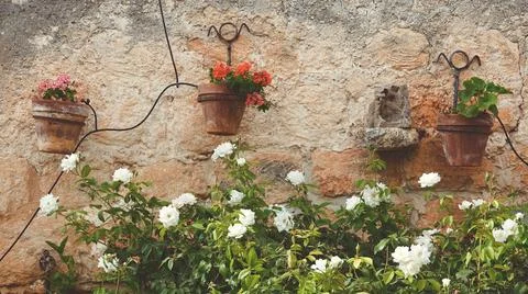 Flower Pots Rustic Wall Top View Earthy Tones Photography 库存照片