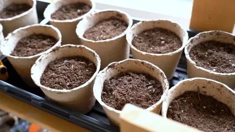 Flower pots with soil Stock Footage 239676090