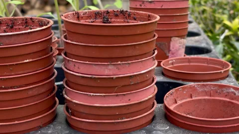 Flower pots, tracking Video stock 241319142