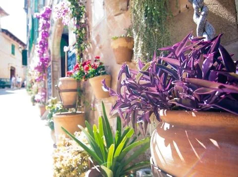 Flower pots Valldemossa wall Stock-Fotos