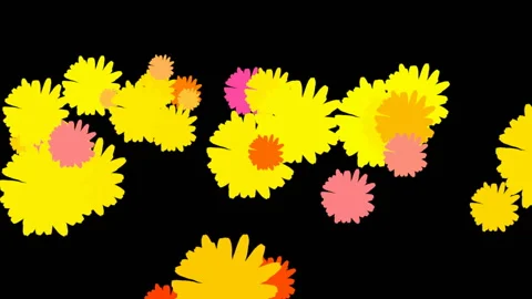 Flower Power Flash on Black Background: Loop Video stock 148493791