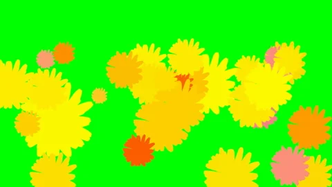 Flower Power Flash on Green Screen: Loop + Matte Stock Footage 148494083
