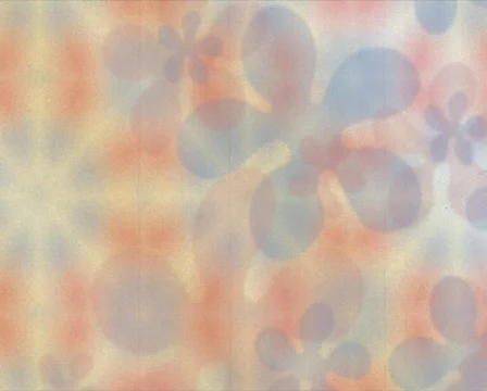 Flower power p 스톡 동영상 607456