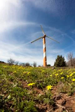 Flower power Stock Photos