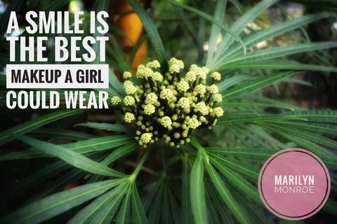 Flower Quotes Stock Photos