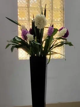 Flower in room Stock Photos