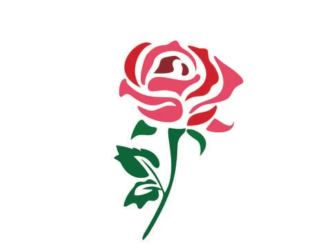 Flower rose Stock Illustration