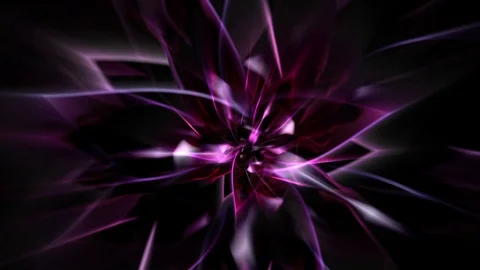 Flower rotating loop Stock Footage 87742443