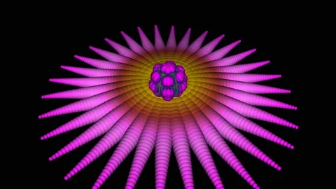 Flower Rotation Stock Footage 168012178