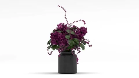 Flower rotation Video stock 245880609