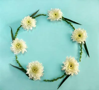 Flower round frame wreath Stock Photos