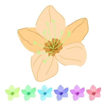 Flower sakura cherry blossom vector cartoon graphic Illustration