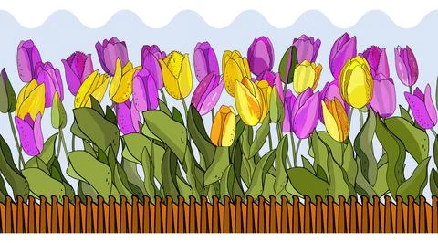 Flower seamless horizontal border isolated on white background. Endless patte Stock Illustration