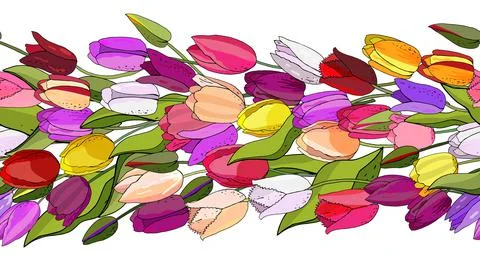 Flower seamless horizontal border isolated on white background. Endless patte Stock Illustration