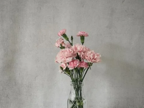 Flower selective focus, selective focus on subject, background blur,during ti Stock Photos