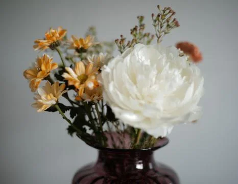 Flower selective focus, selective focus on subject, background blur,during ti Stock Photos