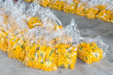 Flower for sell 스톡 사진