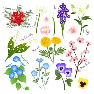 Flower Set 3. Flora Vector Collection. Stock Illustration